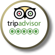 TripAdvisor Reviews